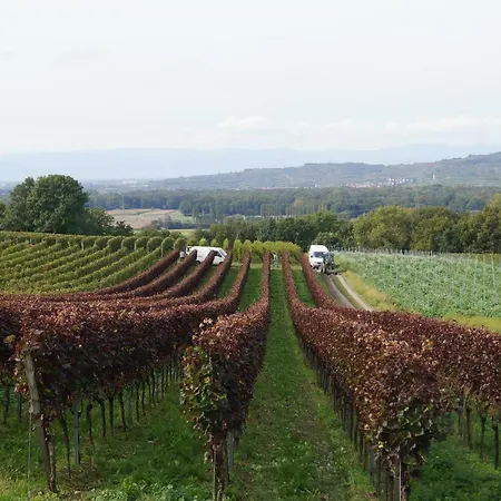 Weingut Landmann