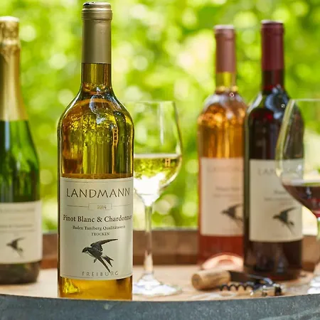 Weingut Landmann 公寓 *