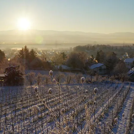 Weingut Landmann * Freiburg im Breisgau
